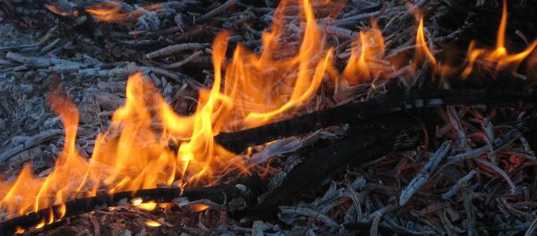 Огонь - Sputnik Беларусь