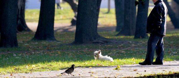 Встреча в парке, архивное фото - Sputnik Беларусь
