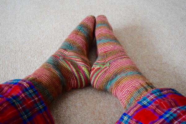 Домашние носки - Sputnik Беларусь