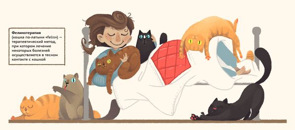 Кошка рядом с человеком: помощник, врач и психолог - Sputnik Беларусь