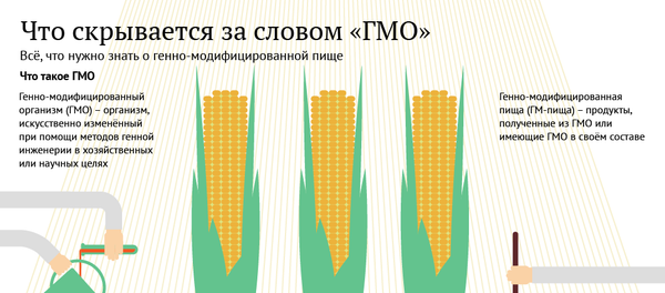 Что скрывается за словом ГМО - Sputnik Беларусь