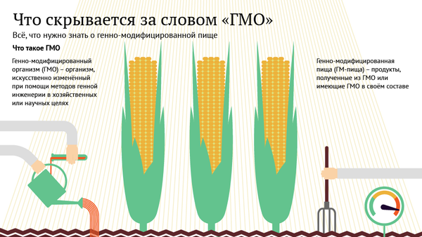Что скрывается за словом ГМО - Sputnik Беларусь