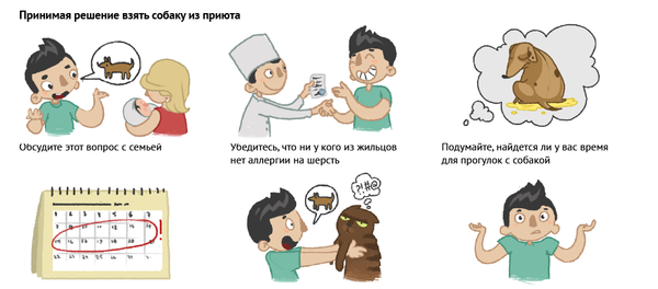 Собака из приюта: инструкция по «усыновлению» - Sputnik Беларусь