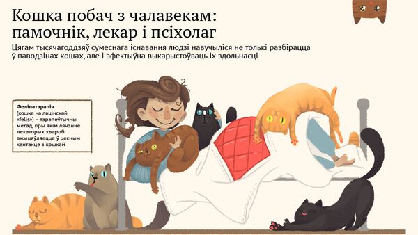 Кошка побач з чалавекам - Sputnik Беларусь