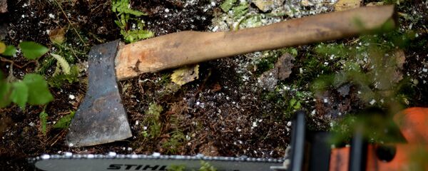 Топор и бензопила - Sputnik Беларусь