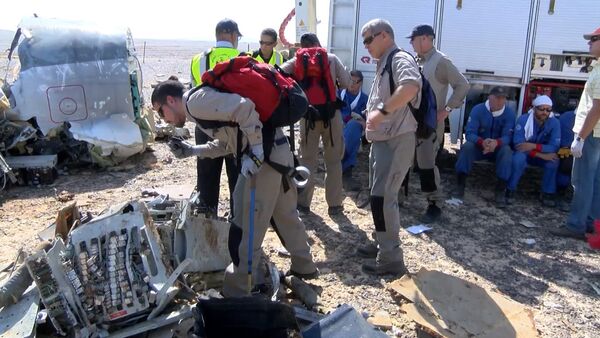 Спутник_Иностранные специалисты фотографировали фрагменты разбившегося в Египте A321 - Sputnik Беларусь
