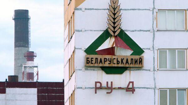 Беларуськалий остановил работу половины рудников - Sputnik Беларусь