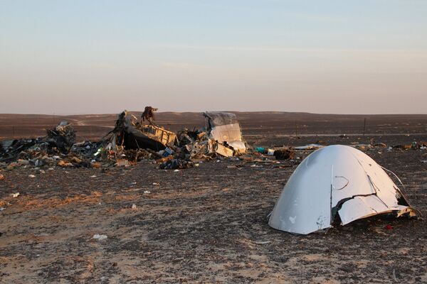 Обломки самолета Airbus A321 авиакомпании Когалымавиа - Sputnik Беларусь
