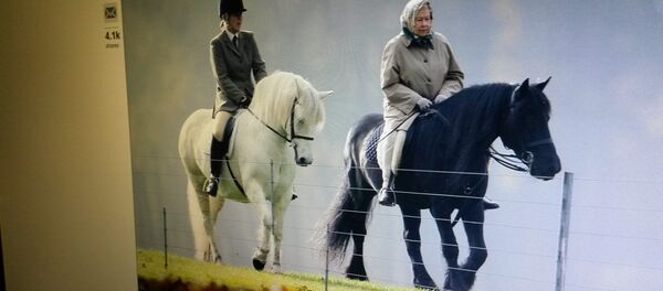 Страница сайта dailymail.co.uk - Sputnik Беларусь