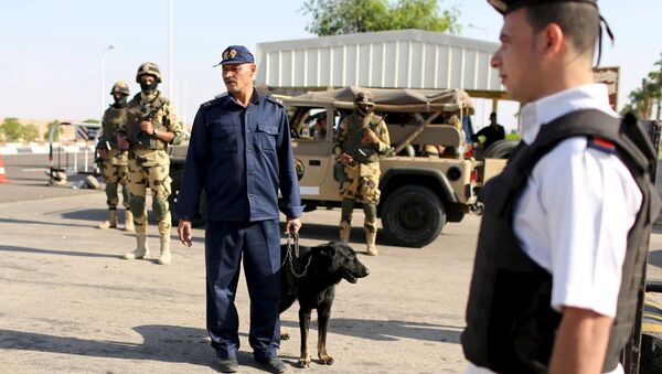 Полиция и военные в аэропорту Шарм-эш-Шейха - Sputnik Беларусь