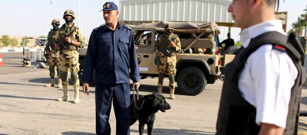 Полиция и военные в аэропорту Шарм-эш-Шейха - Sputnik Беларусь