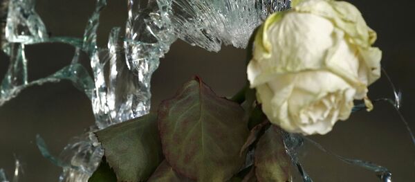 Роза в отверстии от пули террориста в Париже - Sputnik Беларусь