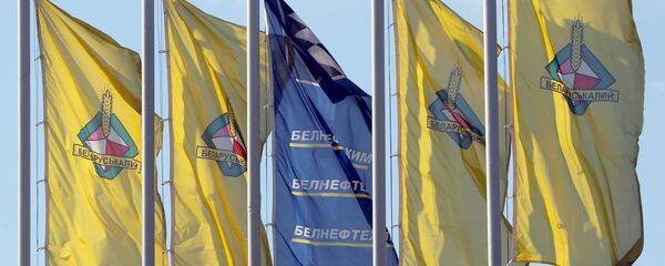 Предприятие Беларуськалий в Солигорске - Sputnik Беларусь