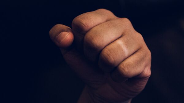 Кулак - Sputnik Беларусь