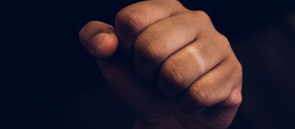 Кулак - Sputnik Беларусь