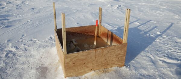 Туалет на снегу - Sputnik Беларусь