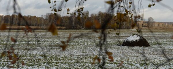 Мокрый снег. Осень - Sputnik Беларусь