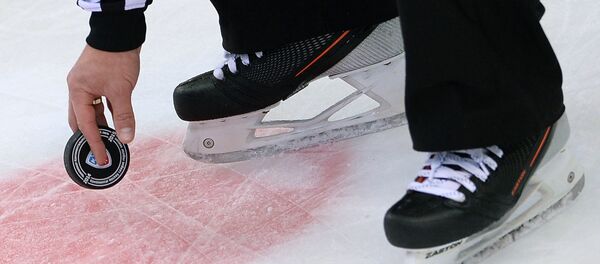 Хоккей. КХЛ. Матч ЦСКА - Нефтехимик Хоккей. КХЛ. Матч ЦСКА - Нефтехимик - Sputnik Беларусь