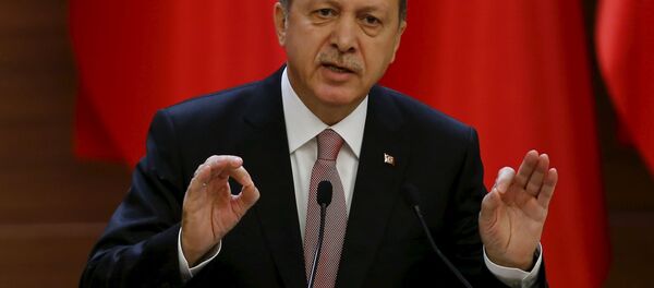 Президент Турции Тайип Эрдоган - Sputnik Беларусь