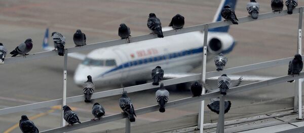 Вид из диспетчерского центра аэропорта - Sputnik Беларусь