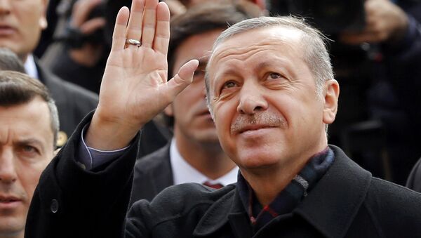 Президент Турции Тайип Эрдоган - Sputnik Беларусь