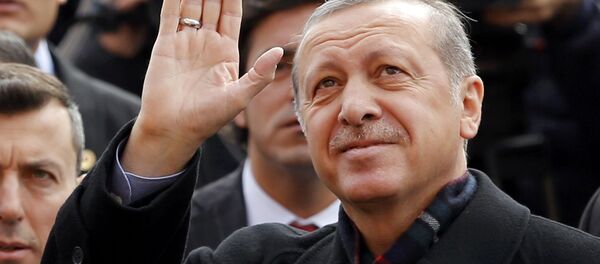 Президент Турции Тайип Эрдоган - Sputnik Беларусь