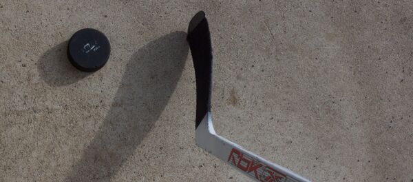 Клюшка и шайба - Sputnik Беларусь