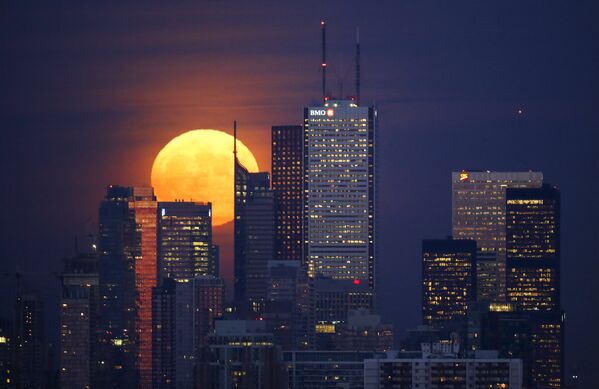 Луна в Торонто - Sputnik Беларусь