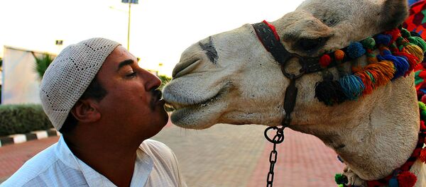 Вярблюд Вася з гаспадаром - Sputnik Беларусь