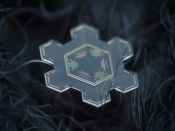 Макра-здымкі сняжынак Макра-здымкі сняжынак - Sputnik Беларусь