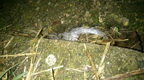 Один из тайников, в который осуществлялись закладки наркотиков - Sputnik Беларусь