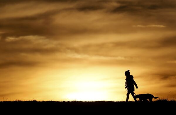Девочка гуляет с собакой на закате - Sputnik Беларусь