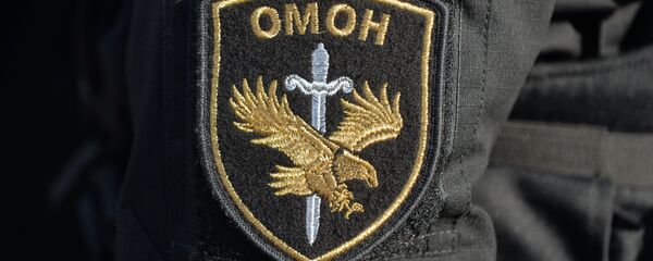 Шеврон бойца ОМОНа Шеврон бойца ОМОНа - Sputnik Беларусь
