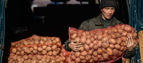 Торговля на рынке - Sputnik Беларусь