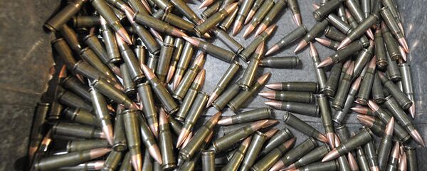 Патроны Патроны - Sputnik Беларусь