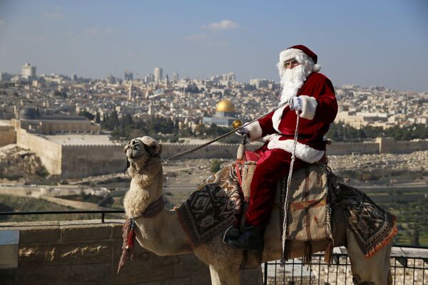 Санта Клаус на верблюде на Масличной горе в Иерусалиме - Sputnik Беларусь