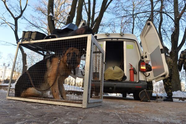 Милицейская собака - Sputnik Беларусь