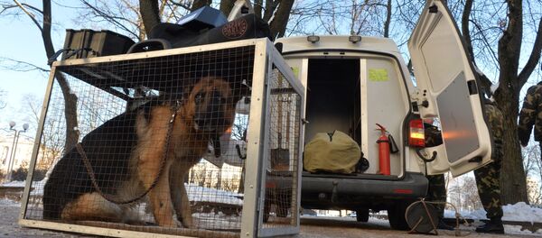 Милицейская собака Милицейская собака - Sputnik Беларусь