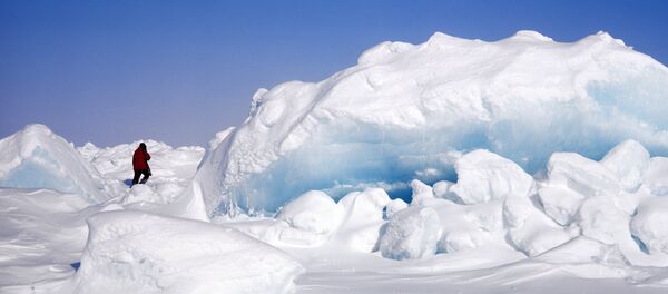 Северный полюс - Sputnik Беларусь