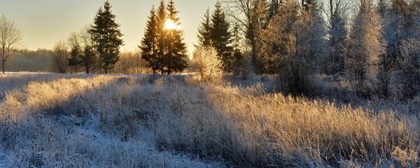 Марозны дзень - Sputnik Беларусь