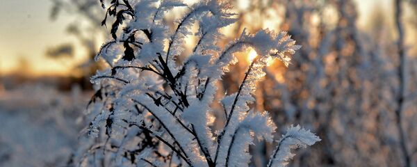 Марозны дзень - Sputnik Беларусь