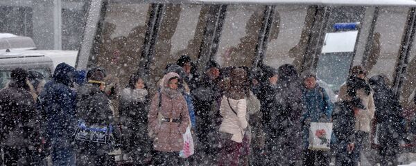 Снегопад в Минске - Sputnik Беларусь