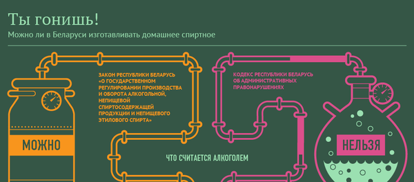 Ты гонишь! - Sputnik Беларусь
