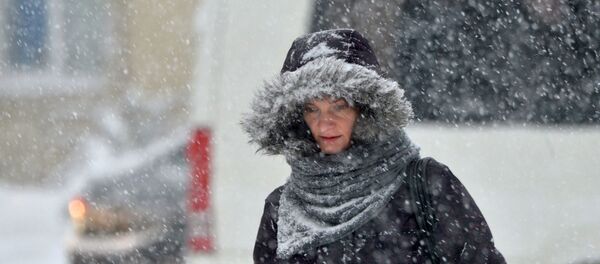 Метель в Минске - Sputnik Беларусь