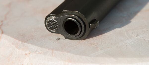 Дуло пистолета - Sputnik Беларусь