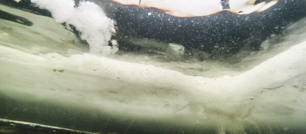 Под водой - Sputnik Беларусь