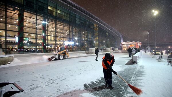 Сотрудник коммунальных служб убирает снег возле здания аэропорта Домодедово в Москве - Sputnik Беларусь