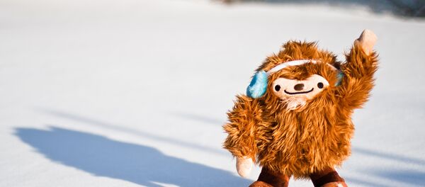 Мягкая игрушка на снегу Мягкая игрушка на снегу - Sputnik Беларусь