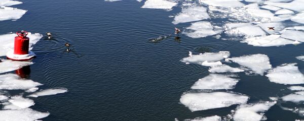 Ледоход на реке - Sputnik Беларусь