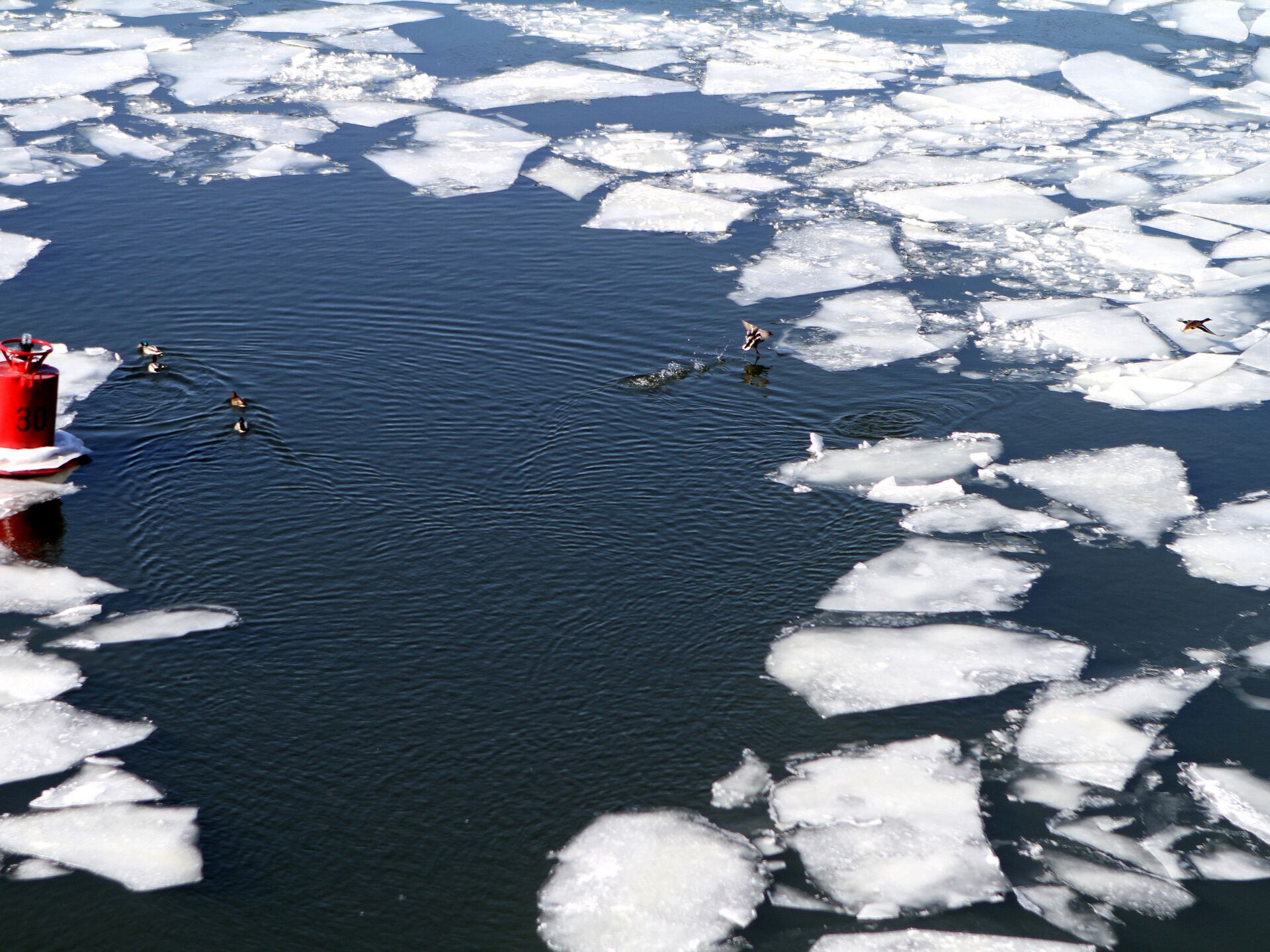 Ледоход разбивает лед. Ледоход на реке. Расколотый лёд на озере. Рыбаки на льдине. Лед льдины на реке.